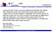 e-Header - RE/MAX, Ron Levine
